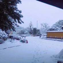 積雪の様子