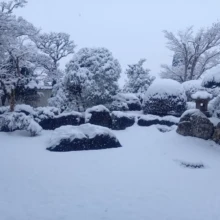 積雪の様子