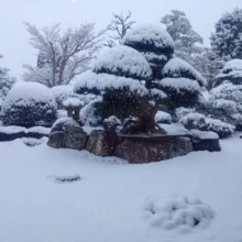 積雪の様子
