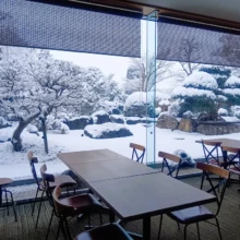 積雪の様子