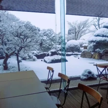 積雪の様子